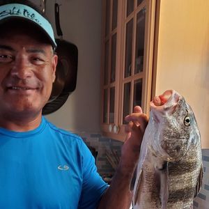 Meet your Posher, Mike